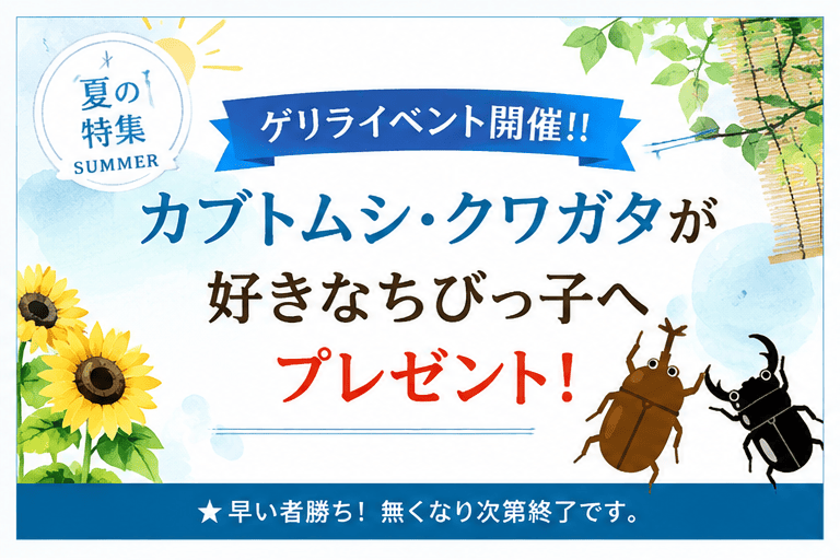 カブトムシ・クワガタが好きなちびっ子へプレゼント！早い者勝ち！無くなり次第終了です！