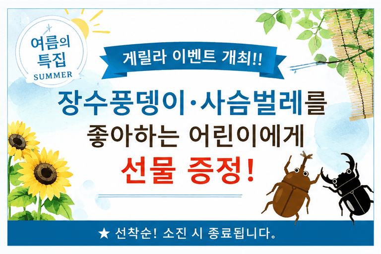 カブトムシ・クワガタが好きなちびっ子へプレゼント！早い者勝ち！無くなり次第終了です！